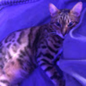 Meet your Posher, Holly